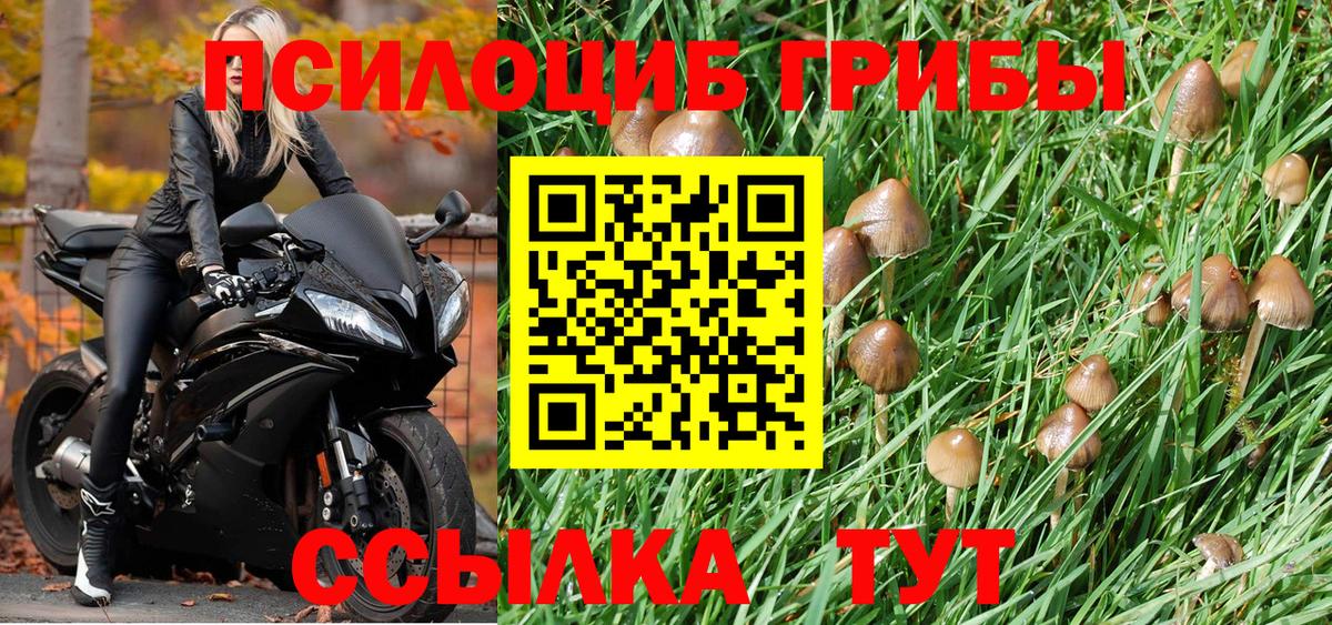 Галлюциногенные грибы мухоморы Железногорск
