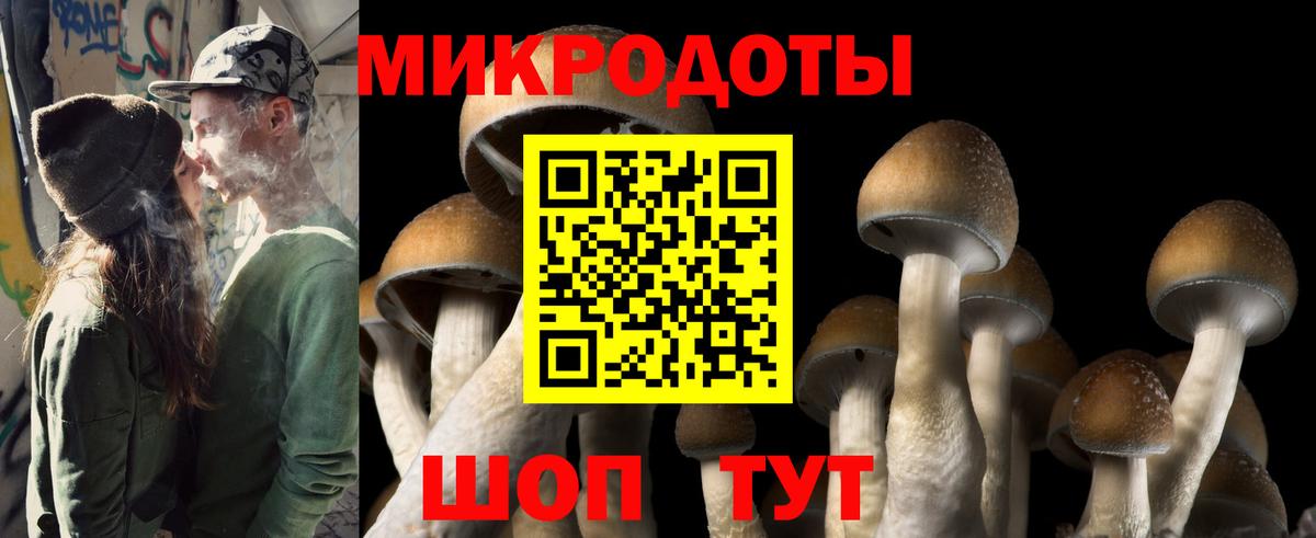Железногорск  Галлюциногенные грибы MAGIC MUSHROOMS  Вход с VPN 